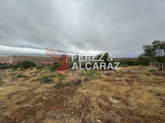 Foto 03001f5f-a1f0-4058-9232-442f680c3f11. Finca rústica a Posadas