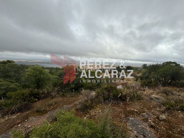 Foto 0a8cf53f-5421-495e-a257-4bad71d949ad. Finca rústica a Posadas