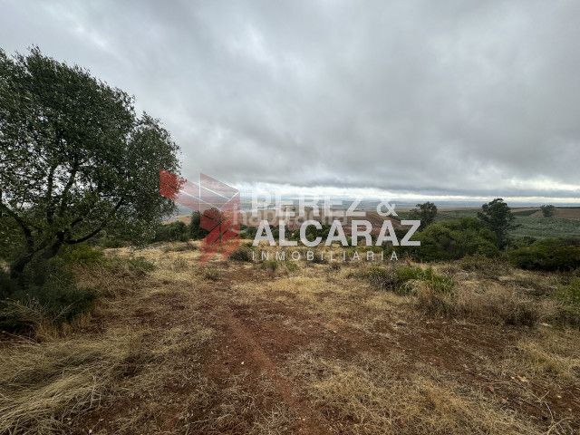 Foto 408812e1-18fd-4957-9e03-b4094c97c447. Finca rústica a Posadas