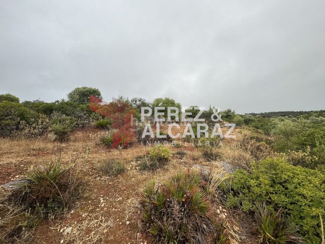 Foto 93869b38-a673-4dd6-b67b-89ea62868432. Finca rústica a Posadas