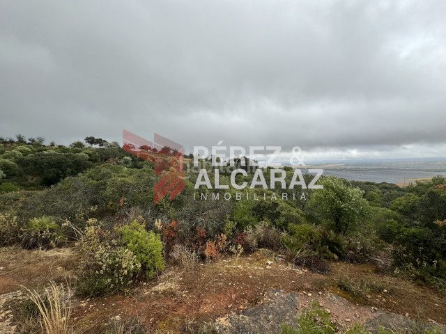 Foto a11b55a1-bb90-477f-8b00-8c072ec58bcc. Finca rústica a Posadas