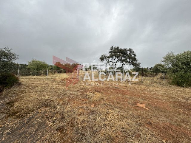 Foto ab435663-1af8-4f5c-8b81-1766a11ca513. Finca rústica a Posadas