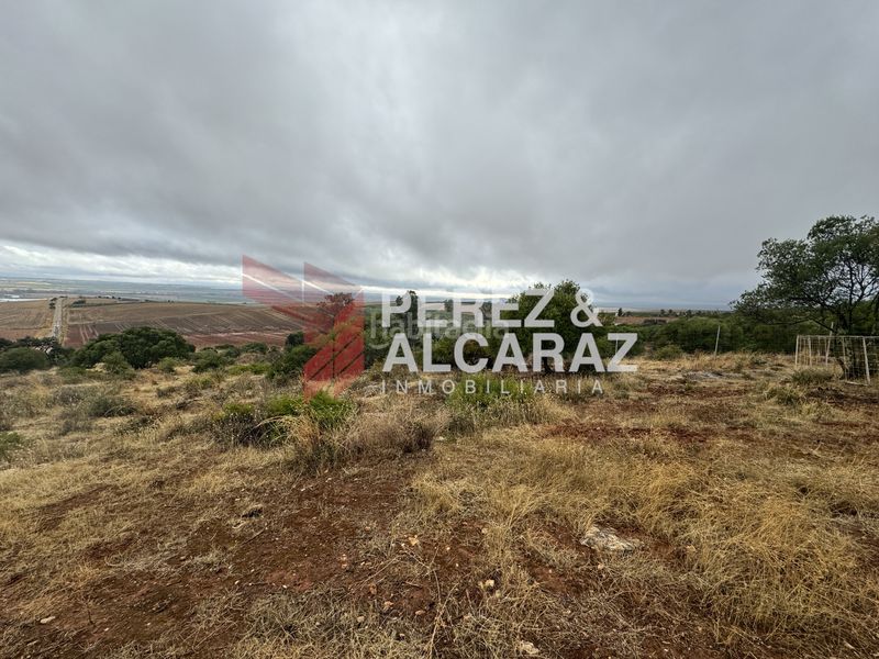Foto f9c81a57-3386-466b-be3e-3fdeee68a357. Finca rústica a Posadas
