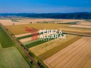 Finca rústica a Calle ancha 73. Venta de finca rústica en palma del río.