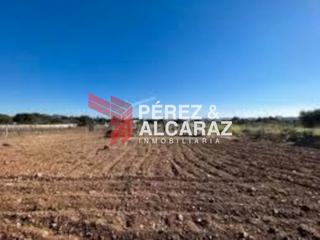 Fondo rustico in Palma del Río. Venta de finca rústica en palma del río.