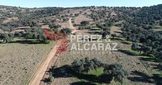 Propriété à Fuente Obejuna. Finca de dehesa en fuente obejuna (córdoba)