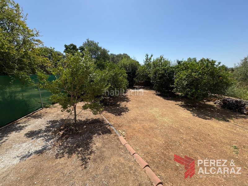 Foto 1fd0dd74-8557-4956-8223-5e7552a77a37. Finca rústica a calle del acebuchal 25 a Palma del Río
