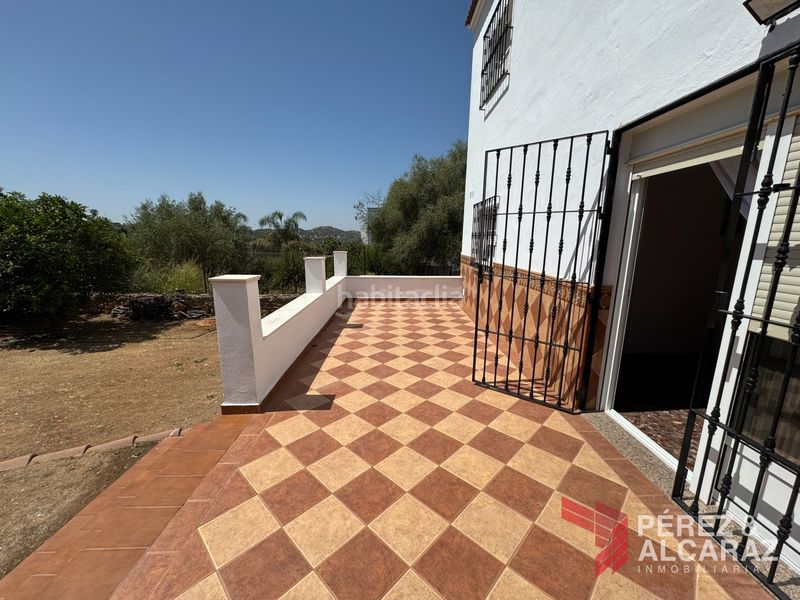 Foto bbea76ed-aa2f-4a9b-9d59-0daff4515ef3. Finca rústica a calle del acebuchal 25 a Palma del Río