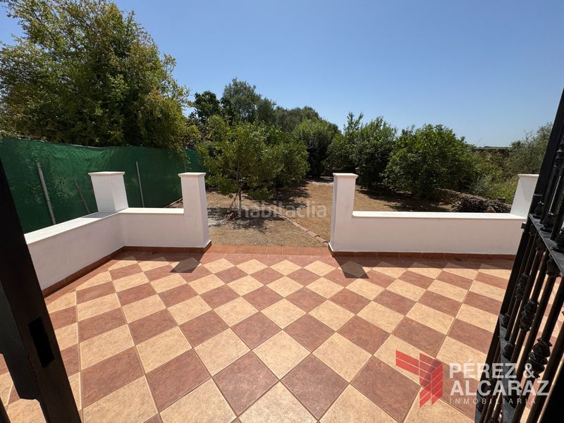 Foto fdeb7f16-09dd-4833-9920-eb56b0869c98. Finca rústica a calle del acebuchal 25 a Palma del Río