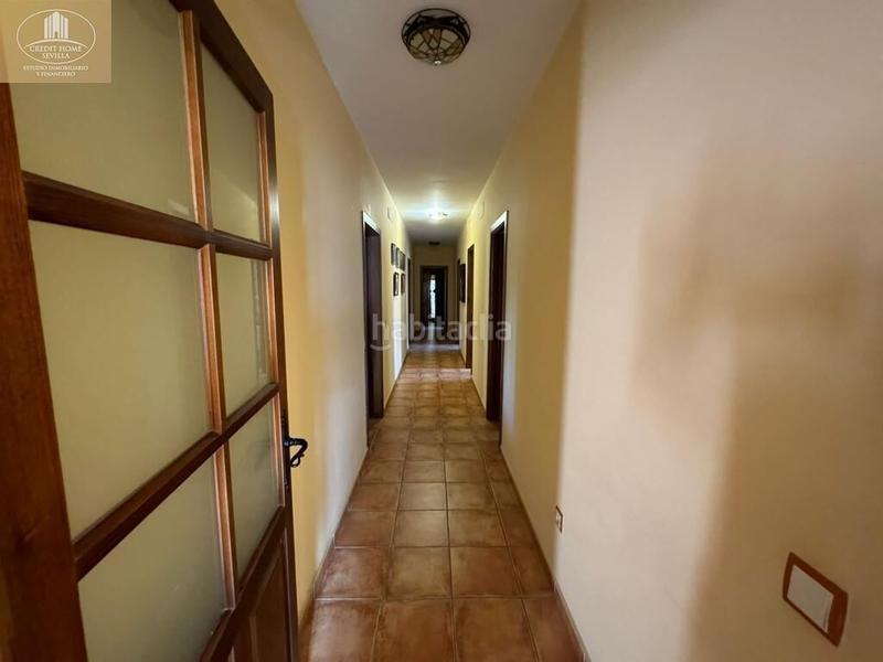 Foto da93cebb-de66-44a9-866f-14ec519889de. Casa amb piscina a Olivar de Quintos Montequinto