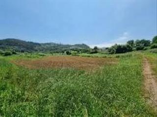 Masia  Autopista morón de la frontera