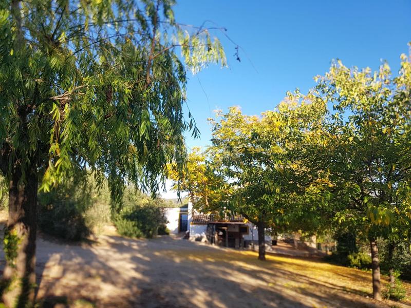 Foto 3d238c56-c833-4613-b0ec-e87ada6a9fa6. Country house with parking pool in Partidas Norte Ronda