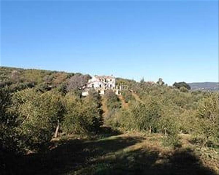 Foto bd9a82d7-9381-40b5-adf5-cc07d6e4aa52. Country house with parking pool in Partidas Norte Ronda