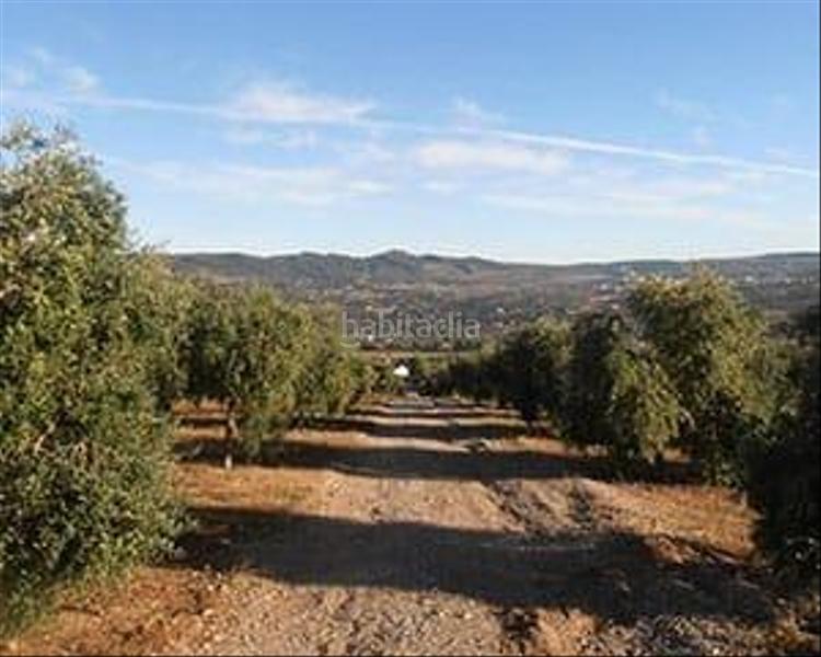 Foto bfeb762d-7995-4abe-8791-80d39f3a51a6. Country house with parking pool in Partidas Norte Ronda
