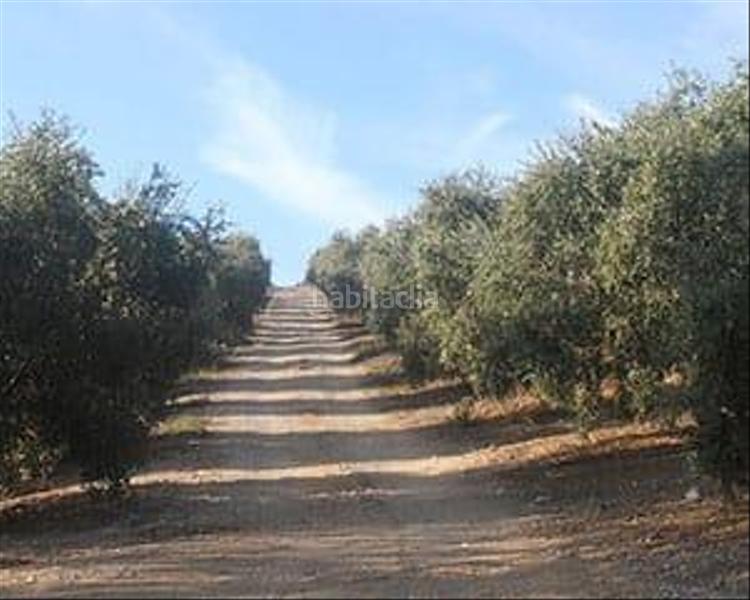 Foto b6ea2b29-6790-4081-b602-a7bd215fbd69. Masía en Partidas Norte Ronda