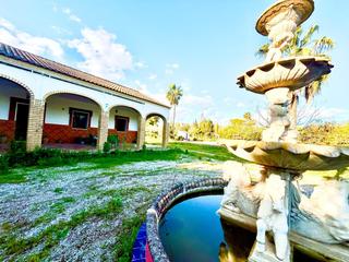 Masia  Diseminado