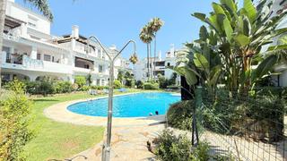 Attique  Alcaucin-naranjos marbell