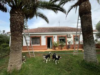 Xalet a Mairena del Alcor