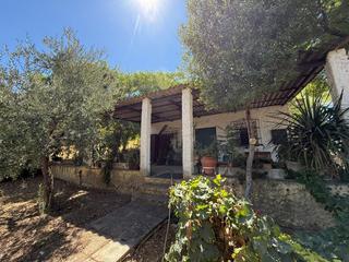 Finca rústica  41800