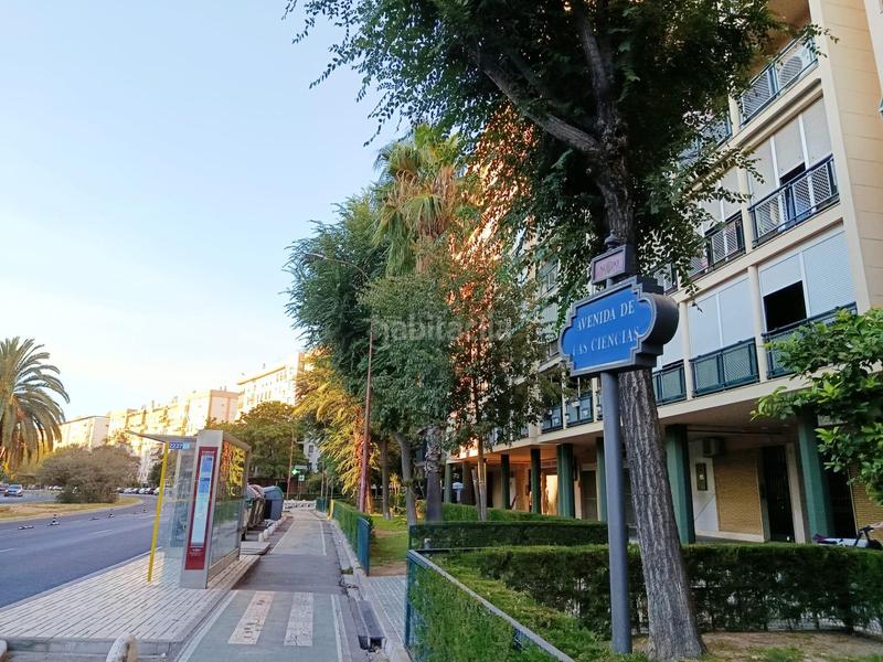 Foto f754c2ea-e9ed-4caa-94e9-185834b6df8b. Piso en colores - entreparques Sevilla