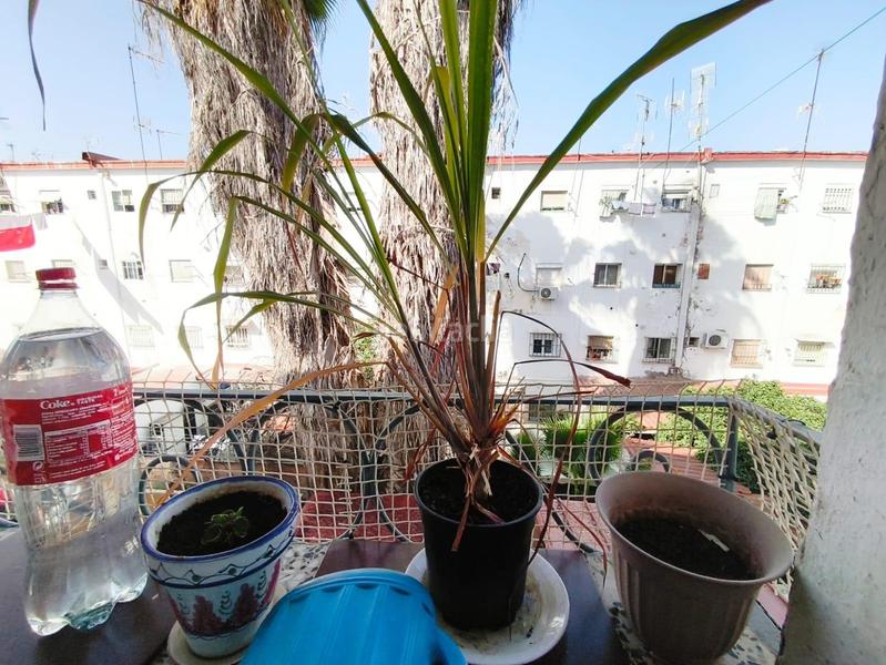 Foto 66975bda-d6c5-4417-ac70-6270ebb58c34. Appartamento in Los Pájaros Sevilla