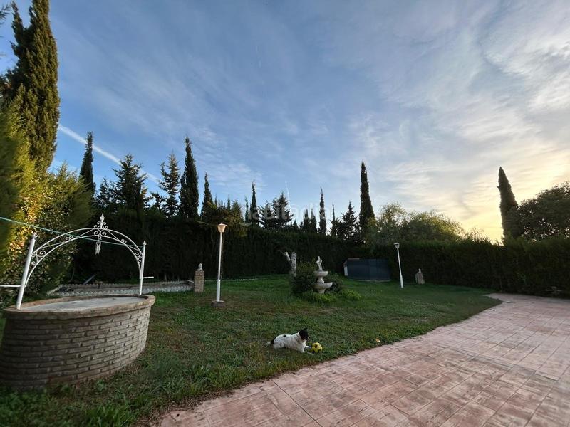 Foto b141c8f8-c25d-4c23-a5fa-9c9b07578aaa. Xalet amb aparcament piscina a La Paz Alcalá de Guadaira