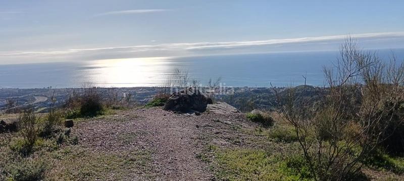 Foto 3ed918a7-3287-4084-962b-d12bf5041769. Finca rústica a Diseminados Rincón de la Victoria