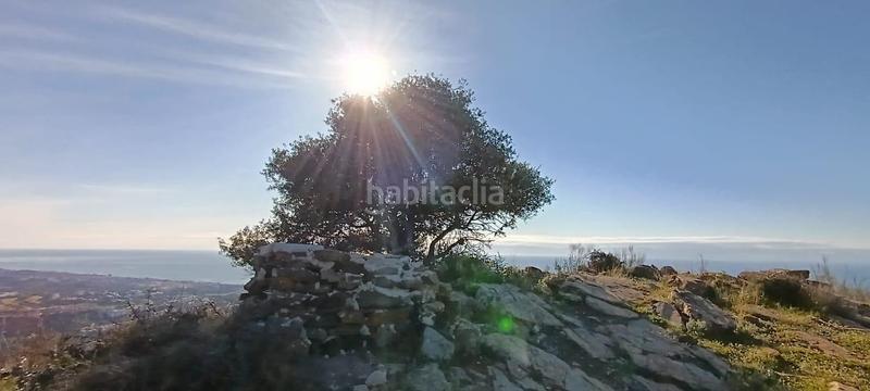 Foto 736a565c-0138-4a56-a2d7-b913da16462e. Finca rústica en Diseminados Rincón de la Victoria