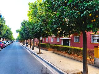 Appartement à PADRE PEDRO AYALA