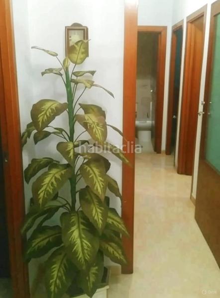 Foto 75a1a13f-84e7-4b30-873a-b45d41d7d773. Appartement avec parking dans Parque María Luisa -Giralda Sur Sevilla