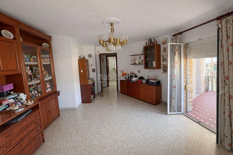 Foto 0a6ab8fc-a0e5-4f92-81ce-b9d6a516f086. Pis a Sta. Aurelia - Cantábrico - Atlàntico - La Romería Sevilla