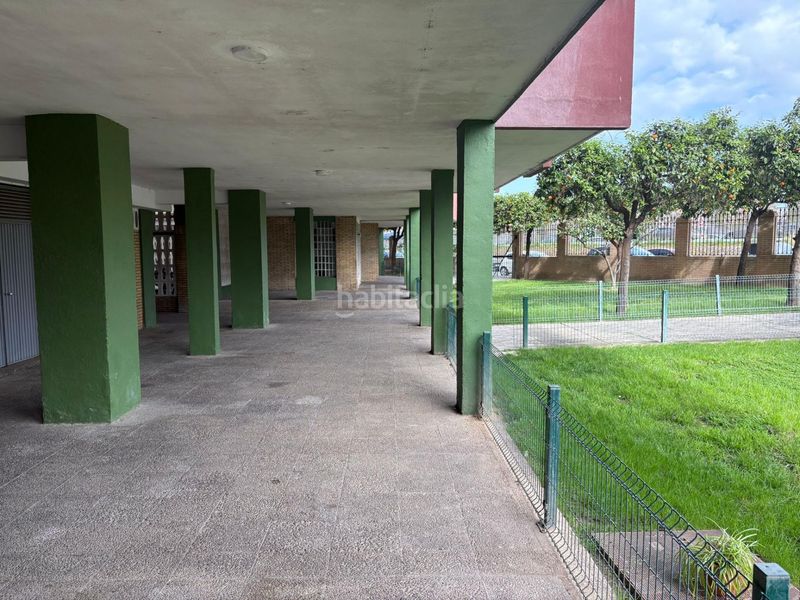 Foto fdad0746-673a-46ea-a7ea-e5d01b7ac034. Pis a Sta. Aurelia - Cantábrico - Atlàntico - La Romería Sevilla