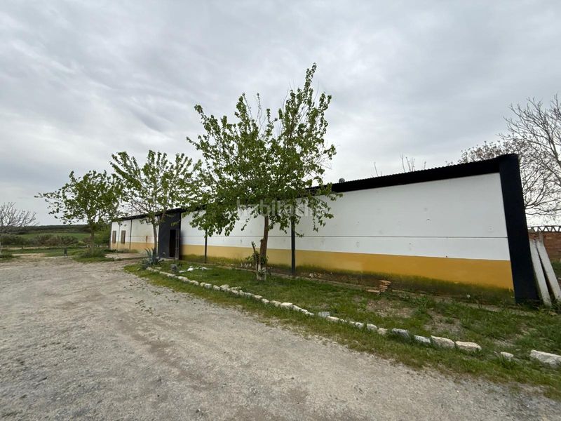 Foto 5a54e298-4bfe-4722-9026-8f648e2de61a. Finca rústica en Pilas