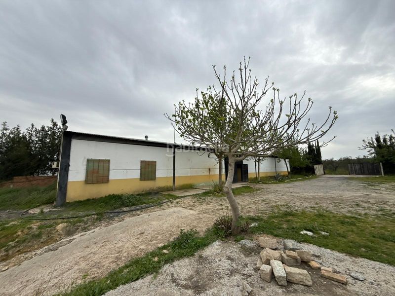 Foto 65690dd4-686d-4894-9e92-c7d9691d50d3. Finca rústica en Pilas