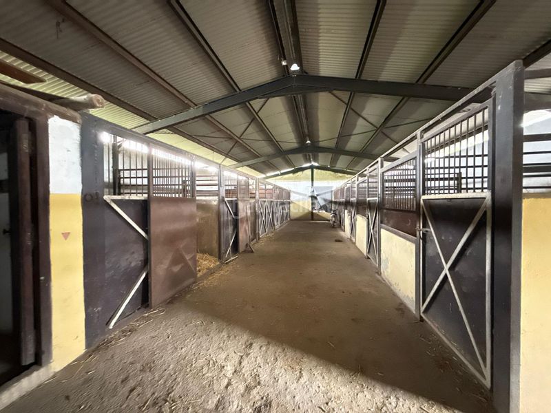 Foto 7dfce919-7129-4845-935e-fbd9a096d66e. Finca rústica en Pilas