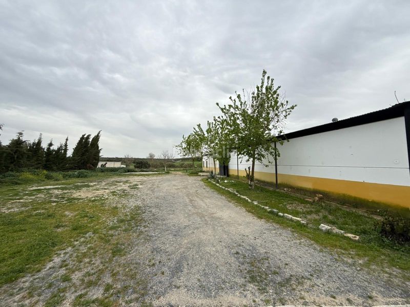 Foto 918b8b38-42ee-4833-9fb2-28ab6d449f3e. Finca rústica en Pilas