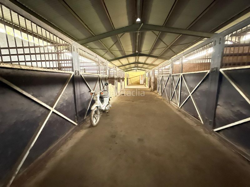 Foto a39e1291-4bb1-4899-a144-09393d629e83. Finca rústica en Pilas