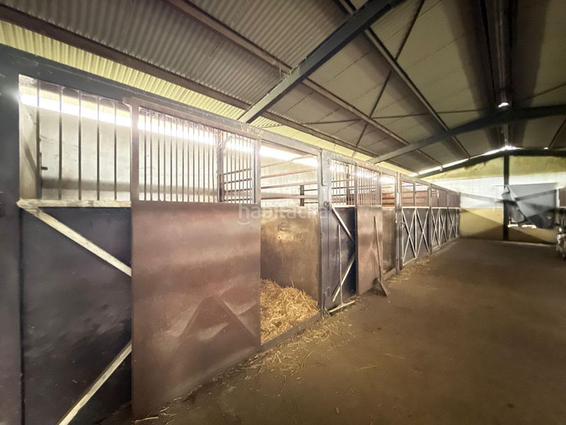 Foto b398fd8d-2279-43bd-9817-86c4c8e84863. Finca rústica en Pilas