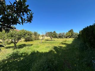 Rural plot  Del viso a sevilla
