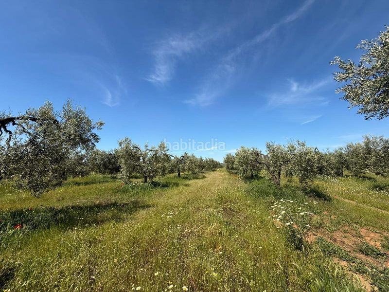 Foto 055ab078-4d6c-4098-984c-a3c1bc5c7a09. Finca rústica a Aznalcázar