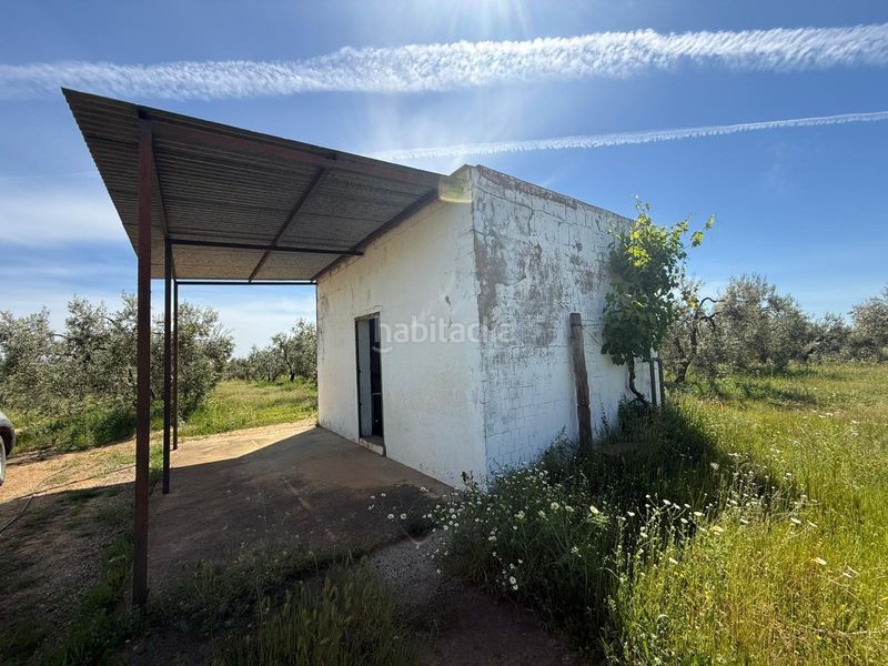 Foto 0e50a324-b6cd-4871-a1c9-8d0b264caffb. Finca rústica a Aznalcázar