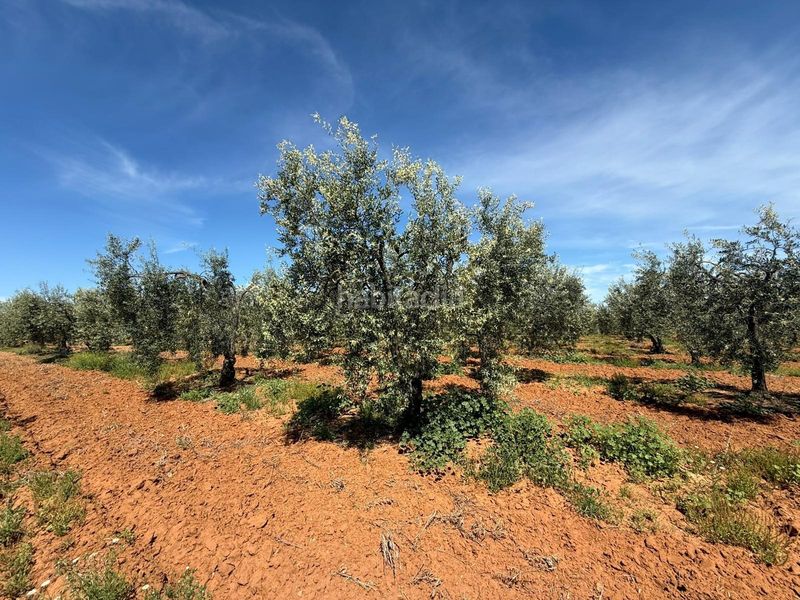 Foto 26682214-6a24-4a6e-bab3-847fcdd3c84f. Finca rústica a Aznalcázar