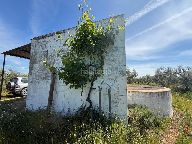 Foto 2bcd31b4-f30b-46d6-9ff9-dd76fce41472. Finca rústica a Aznalcázar