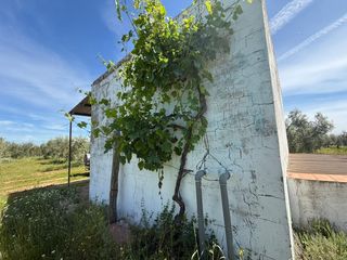 Finca rústica a Aznalcázar