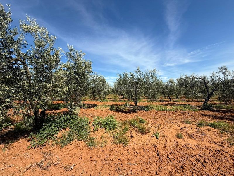 Foto 66d1a91a-542a-4907-b3bd-cf5eec4d44f2. Finca rústica a Aznalcázar