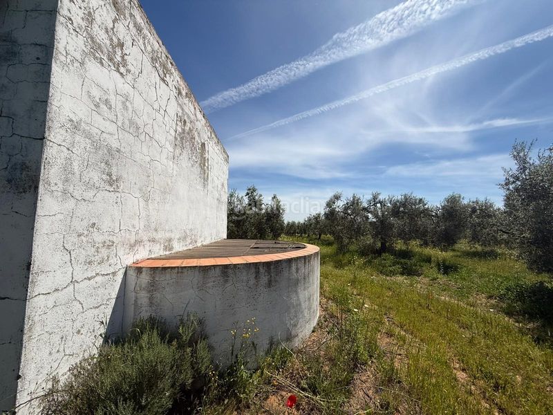 Foto 9a01249b-cc68-4279-80cf-77e2a6e26285. Finca rústica a Aznalcázar