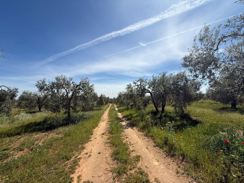 Foto a9fc3814-7480-4fb8-98a8-85c952a02099. Finca rústica a Aznalcázar