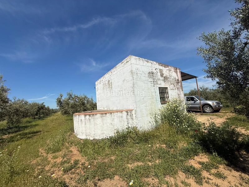 Foto b55ee77d-96c7-47ee-a380-6ce0d6f4b561. Finca rústica a Aznalcázar