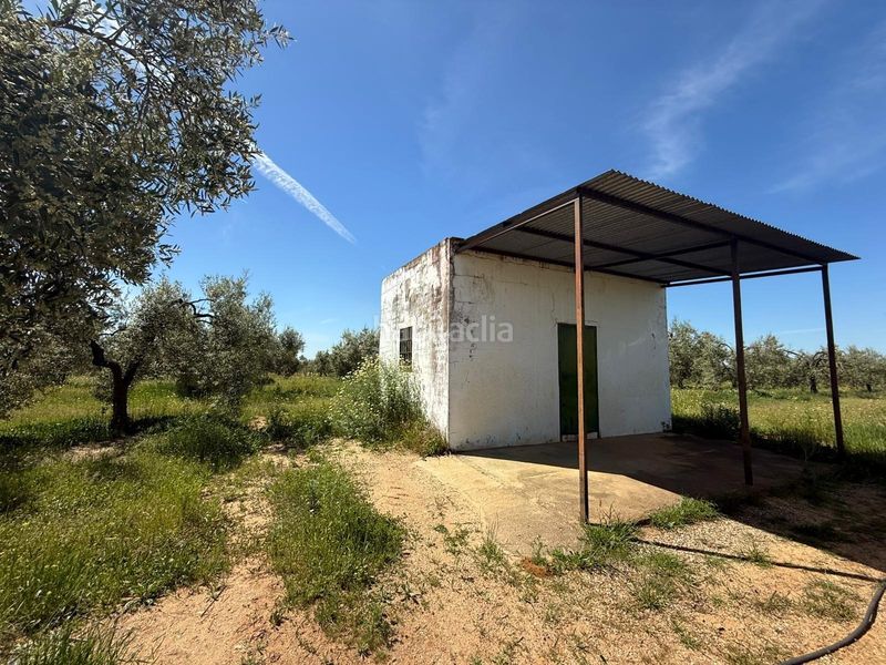 Foto b7cbecc2-bfe9-4628-b868-e89cd26b5d2c. Finca rústica a Aznalcázar