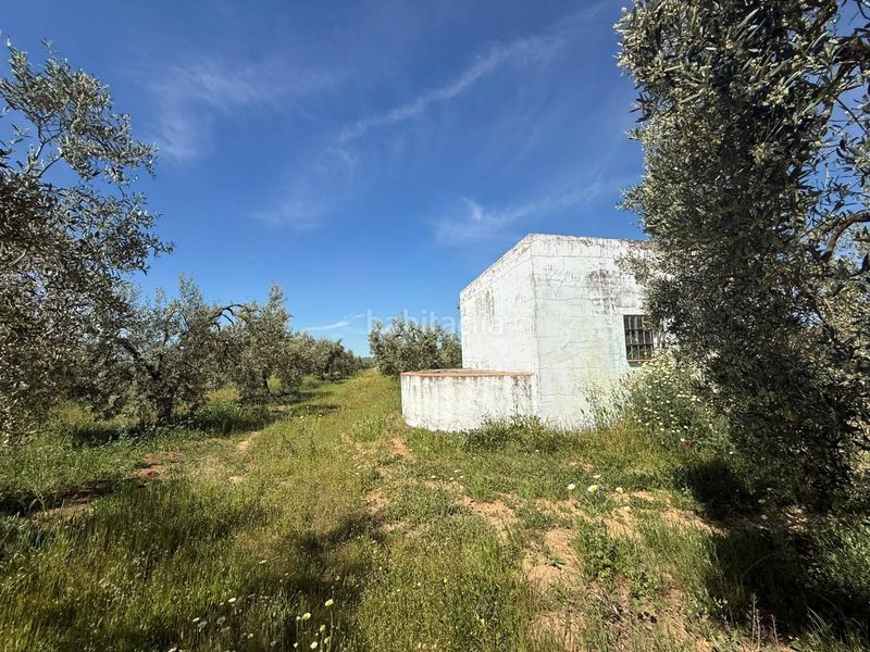 Foto bf37d2d6-6455-4d6f-9003-84f0d5c5495d. Finca rústica a Aznalcázar